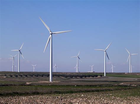 La energía eólica, las aves y el ambiente | Aves Argentinas