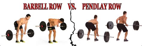 Want a massive, chiseled back? Our precise "step by step" row exercises ...