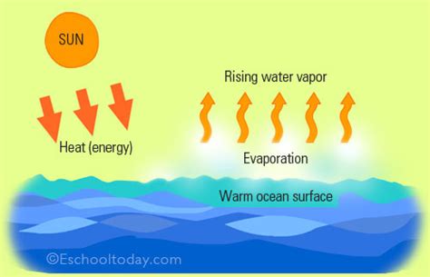 The evaporation stage of the water cycle | Water cycle, Evaporation, Primary science