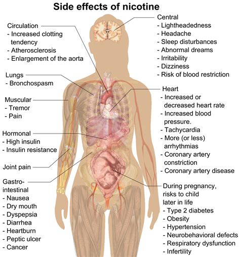 Side Effects of Nicotine on Your Health