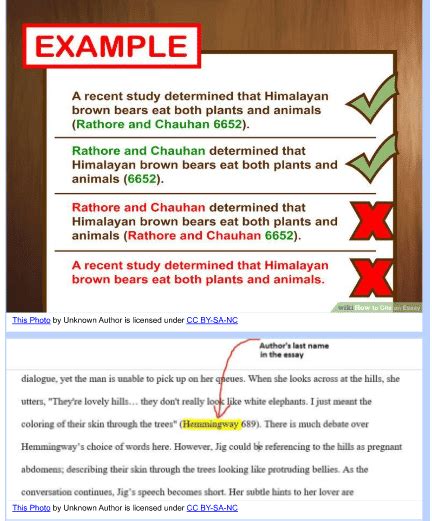 MLA Citation: Pros and Cons of Using MLA Citation in Your Works ...