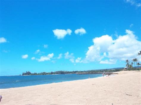 Haleiwa Beach Park - All You Need to Know BEFORE You Go - Updated 2021 ...