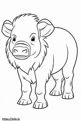 Buffalo Happy coloring page sketch template