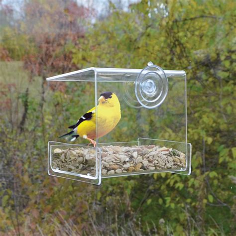 Clear View Mini Open Diner Window Bird Feeder