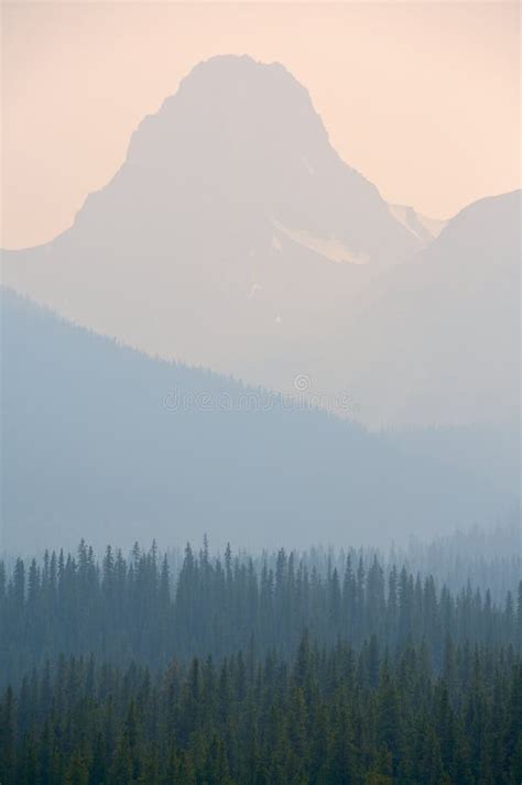 Forest Fire smoke stock photo. Image of disaster, trees - 18891700