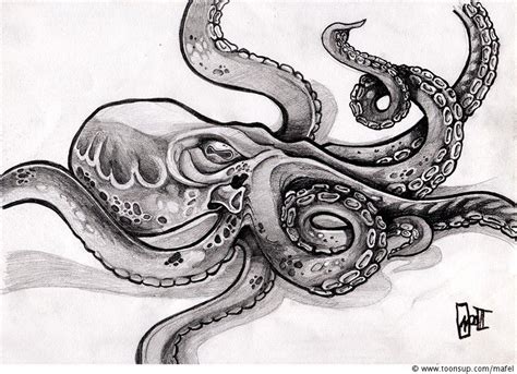 Kraken Drawing, Pencil, Sketch, Colorful, Realistic Art Images 682 | Octopus drawing, Octopus ...