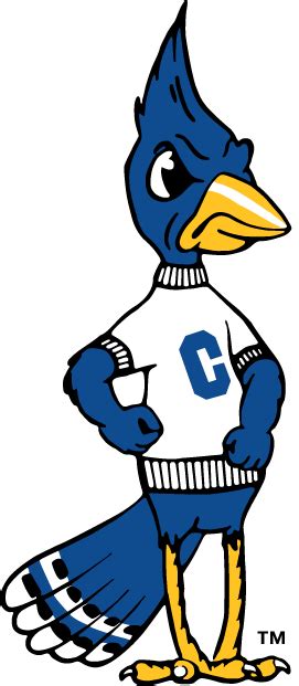 Creighton Bluejays Primary Logo - NCAA Division I (a-c) (NCAA a-c ...