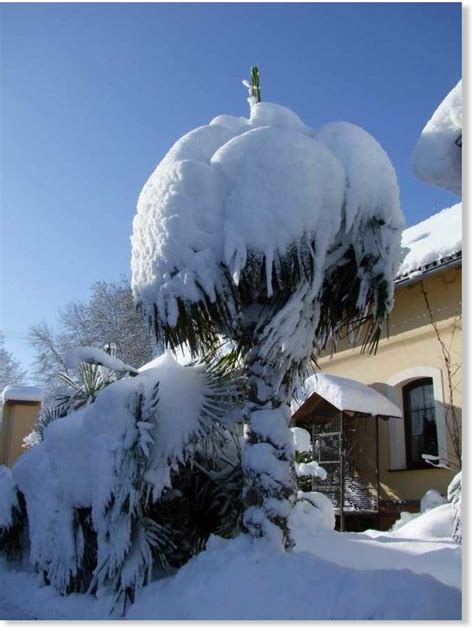 Chaos in Czech Republic amid heavy snowfall and blackouts -- Earth ...