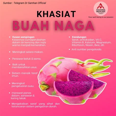 Khasiat Buah Naga