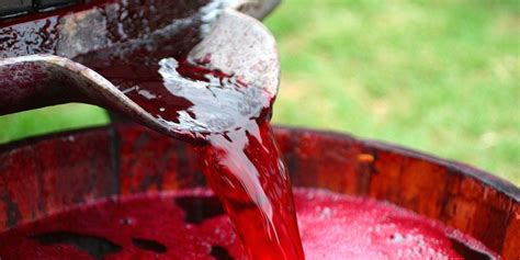 Consumer Fresh Winemakers | Homemade Wine Making Using Fresh Wine Juice