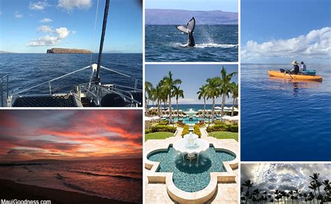 Top 10 Things To Do In Wailea - Maui Goodness