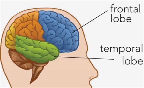 Frontotemporal lobar degeneration consortium combines and continues ...