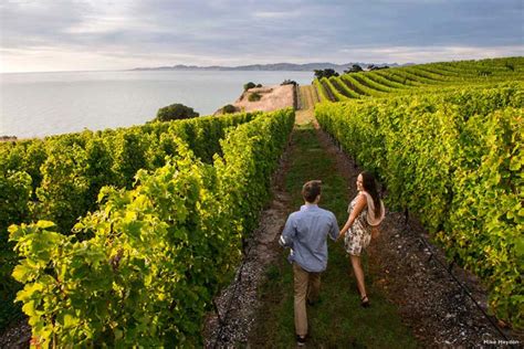 Food & Wine - New Zealand Luxury Escapes