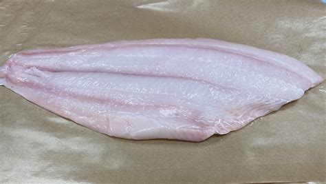 Some gorgeous looking fresh halibut : r/Seafood