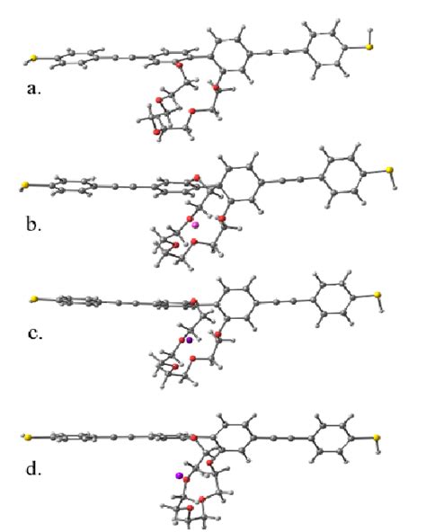 Optimized structures for a) Crown ether wire b) Crown ether wire bound... | Download Scientific ...