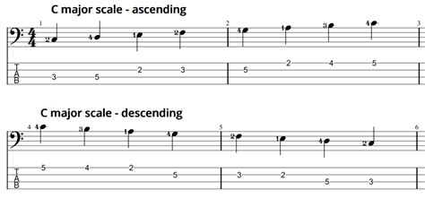 Day 5: C Major Scale - Bass Road Bass Lessons