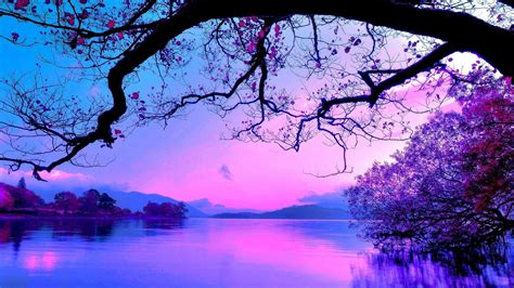 Natural Purple Aesthetic Wallpapers on WallpaperDog