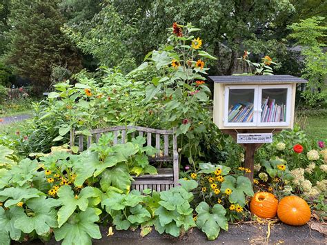 Opinion | The Parable of the Squirrel-Planted Pumpkins - The New York Times