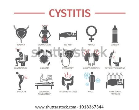 Cystitis Symptoms Treatment Stock Vector 1018367344 - Shutterstock