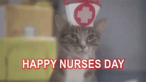 Happy Nurses Day Funny Animals GIF - HappyNursesDay NursesDay ...