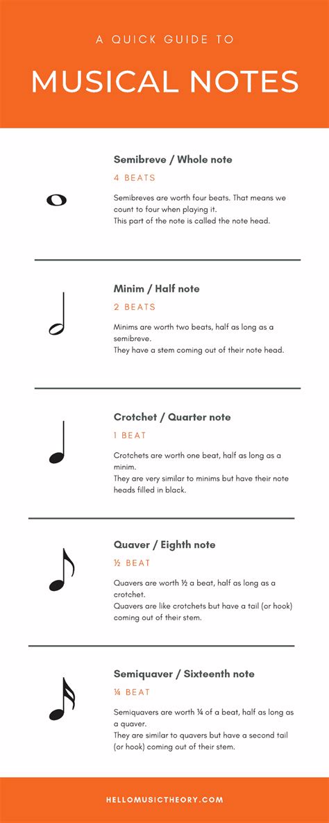 Types Of Musical Notes | Hello Music Theory