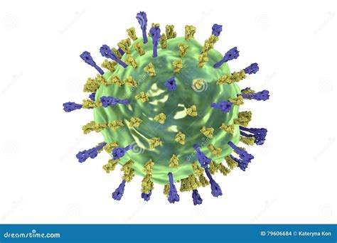 Mumps virus structure stock illustration. Illustration of infection - 79606684