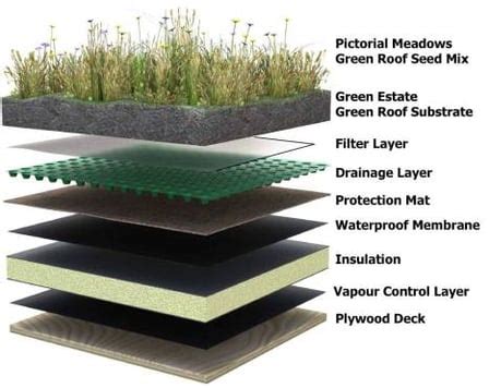 What are the different types of green roofs?