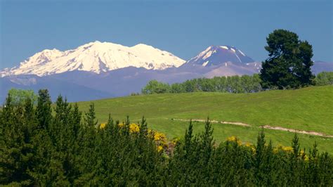 Mount Ruapehu Ski Area, NZ holiday accommodation from AU$ 81/night | Stayz