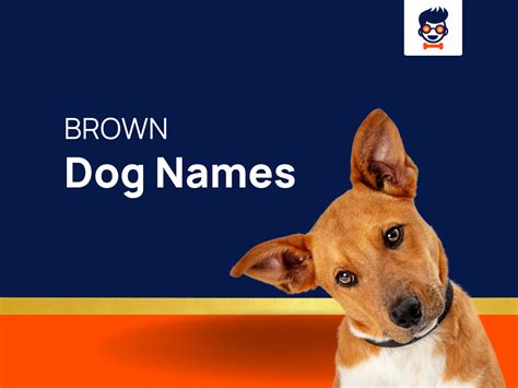 1010+ Brown Dog Names For Your Cocoa Canine Companion! (+generator)