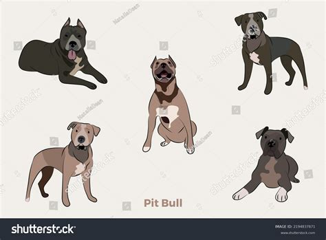 2,068 Pitbull Hands Images, Stock Photos & Vectors | Shutterstock