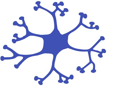 SVG > cell diagram blood neuron - Free SVG Image & Icon. | SVG Silh