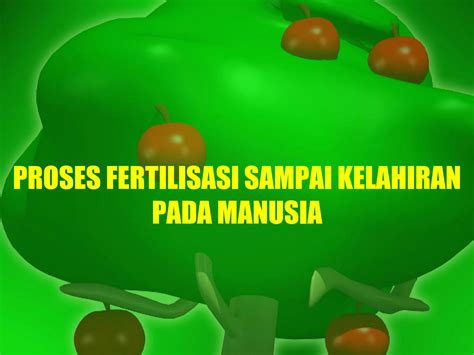 SOLUTION: Proses fertilisasi sampai kelahiran pada manusia - Studypool