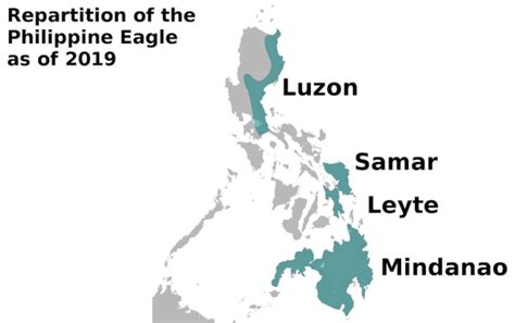 Range of the Philippine Eagle | Wondering Maps