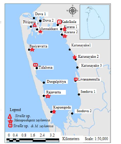 Distribution of mysid habitats, Negombo Lagoon. | Download Scientific Diagram