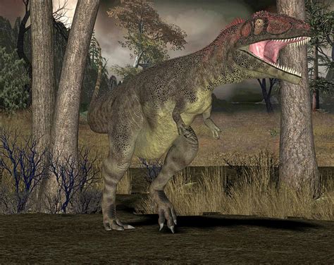 Mapusaurus Dinosaur Photograph by Friedrich Saurer