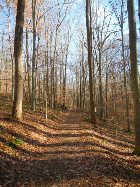 Oh To Be Hiking!: Powhatan State Park Trails