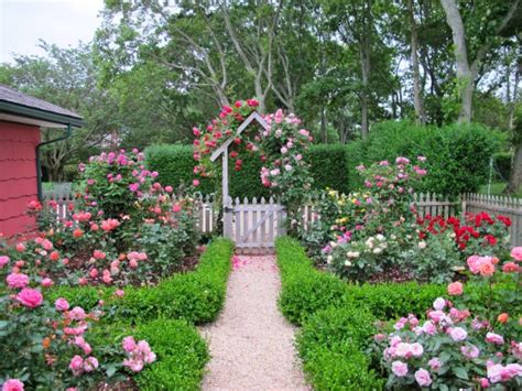 11 beautiful Rose Garden Designs for small yard you need to see