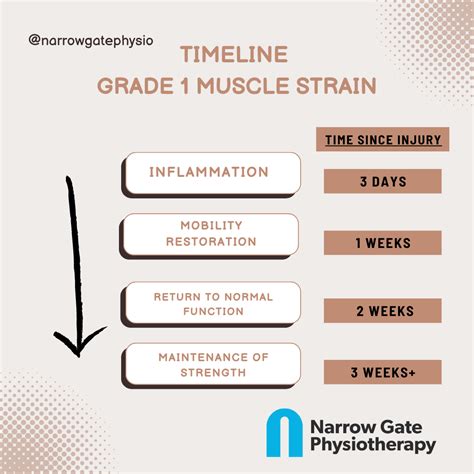 Muscle Strain Recovery Made Easy: The 4-Stage Rehab Process with Expert ...