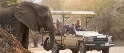 Luxury Highlights of Zimbabwe Safari in 10 Days | Zicasso