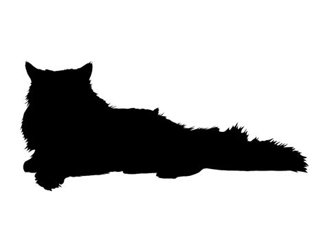 44+ Fluffy Black Cat Silhouette Images