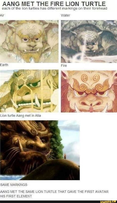 AANG MET THE FIRE LION TURTLE each of the lion turtles has different markings on their forehead ...