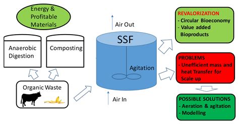 Processes | Free Full-Text | Solid-State Fermentation from Organic Wastes: A New Generation of ...