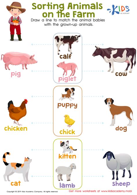 Sorting Animals on the Farm Worksheet: Free Printout for Kids - Answers and Completion Rate