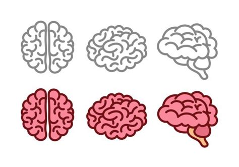 Brain Icon Vector (EPS, SVG, PNG Transparent) | OnlyGFX.com