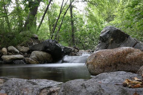 Best Hikes in Cleveland National Forest (CA) - Trailhead Traveler