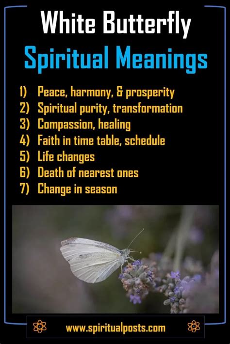 Seeing White Butterfly Spiritual Meanings & Symbolism | Spiritual Posts