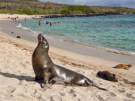 Galapagos Islands Adventure and Wildlife Tour | 10Adventures