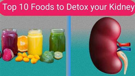 Detoxify Your Kidneys Naturally: Discover the Top 10 Powerful Foods ...