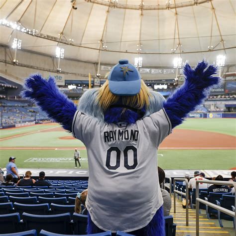 Tampa Bay Rays Mascot Wallpapers - Wallpaper Cave