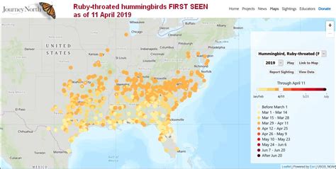 Baltimore Oriole Migration Map 2017 - Maps For You